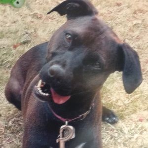 Meet your Posher, Jill